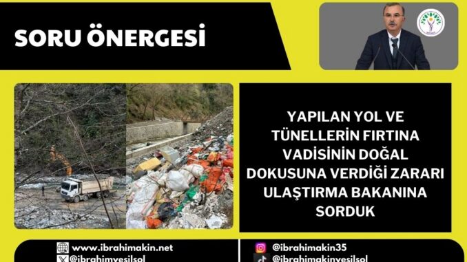 FIRTINA VADİSİ WEB